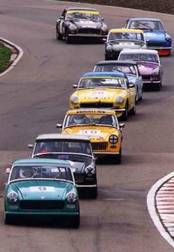 Leading the Pack